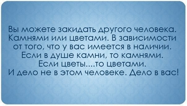 ���������� #2204025