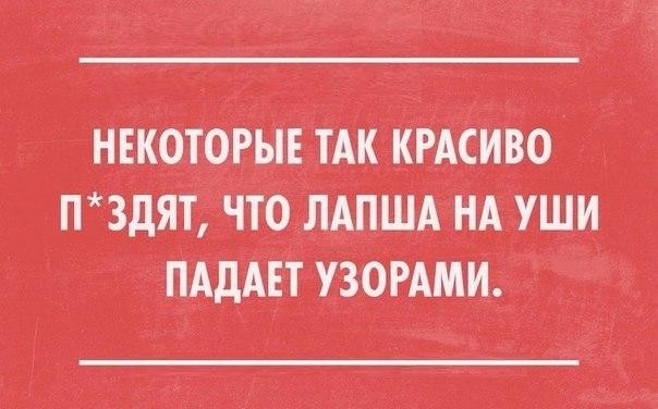 ���������� #2204041