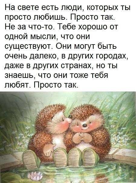 ���������� #2205085