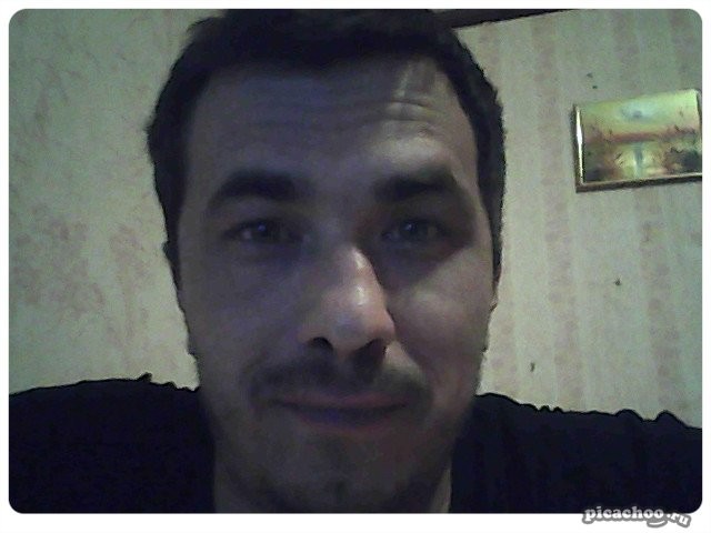 ���������� #2205317