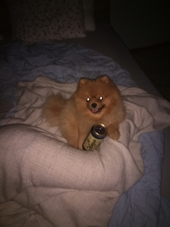 ���������� #2205850