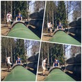 ���������� #2200853