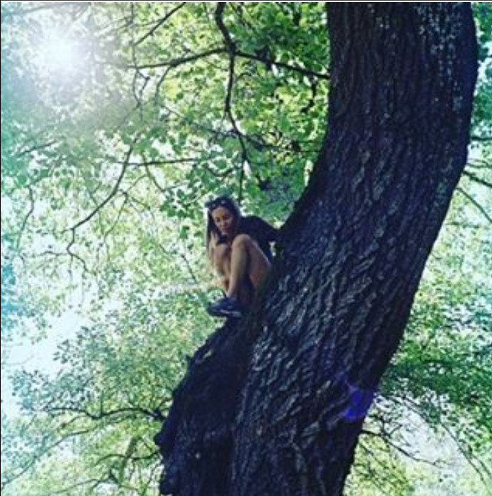 ���������� #2208931