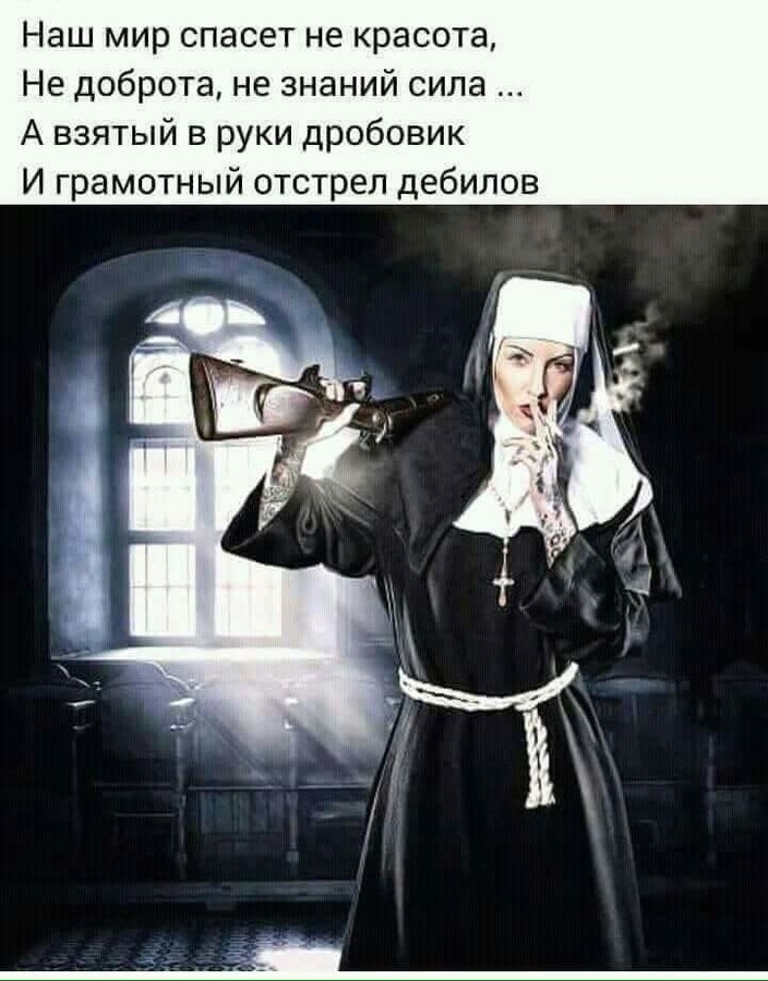 ���������� #2215938