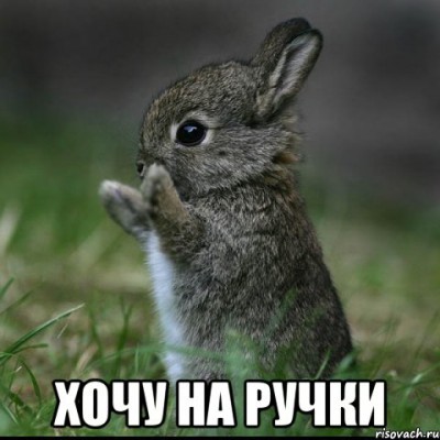 ���������� #2217387