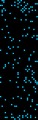 [DA] auto_24_big