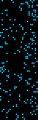 [EE] vision_24_big