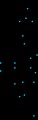 [PB] auto_24_big