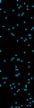 [SS] auto_24_big