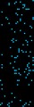 [US] auto_24_big