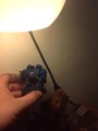 �� ������ ������ ������ �� �������� ������������