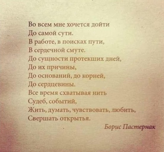 ���������� #2221520