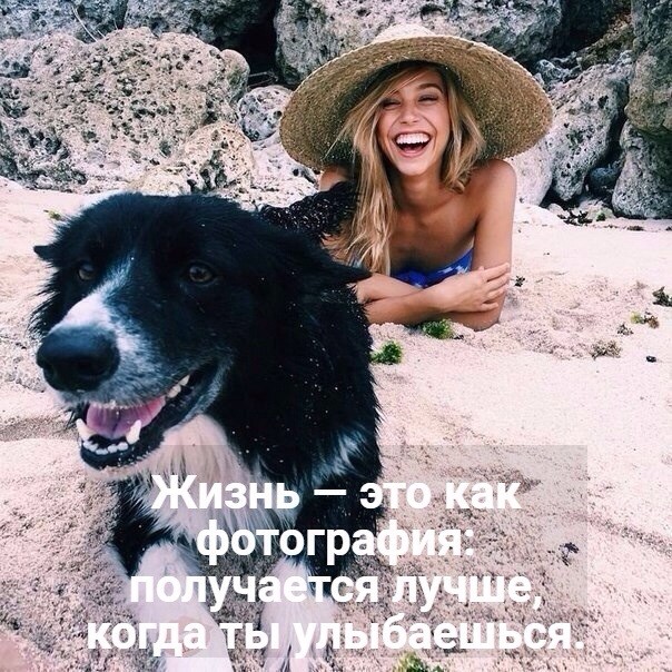 ���������� #2221595
