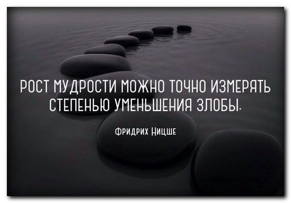 ���������� #2222256
