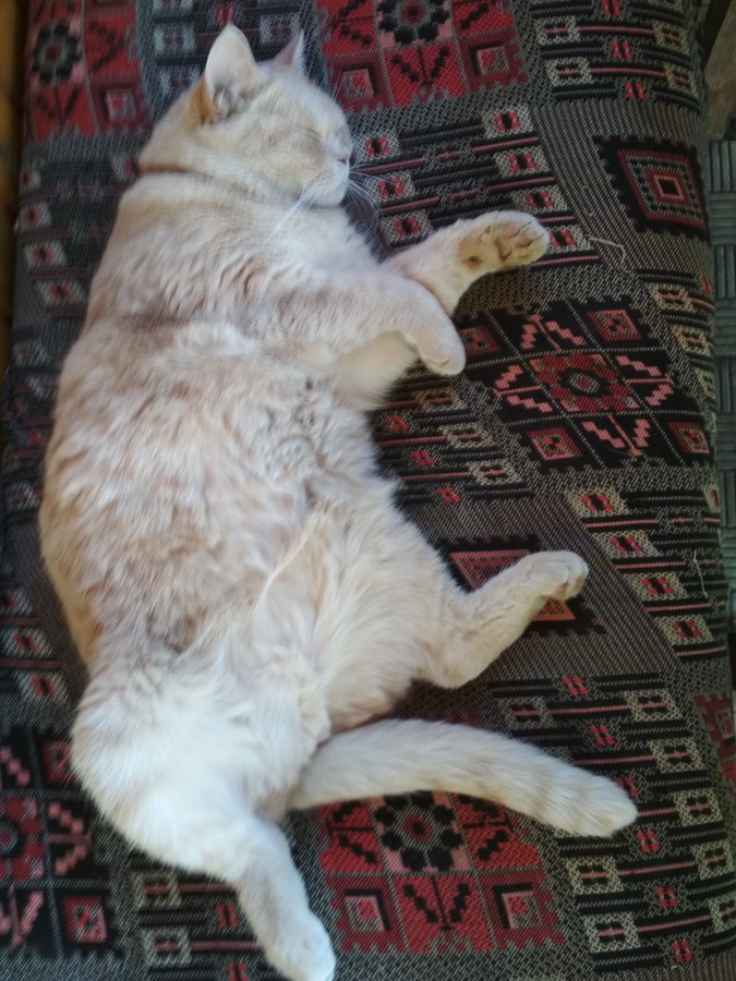 Sleep