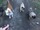 ���� �����