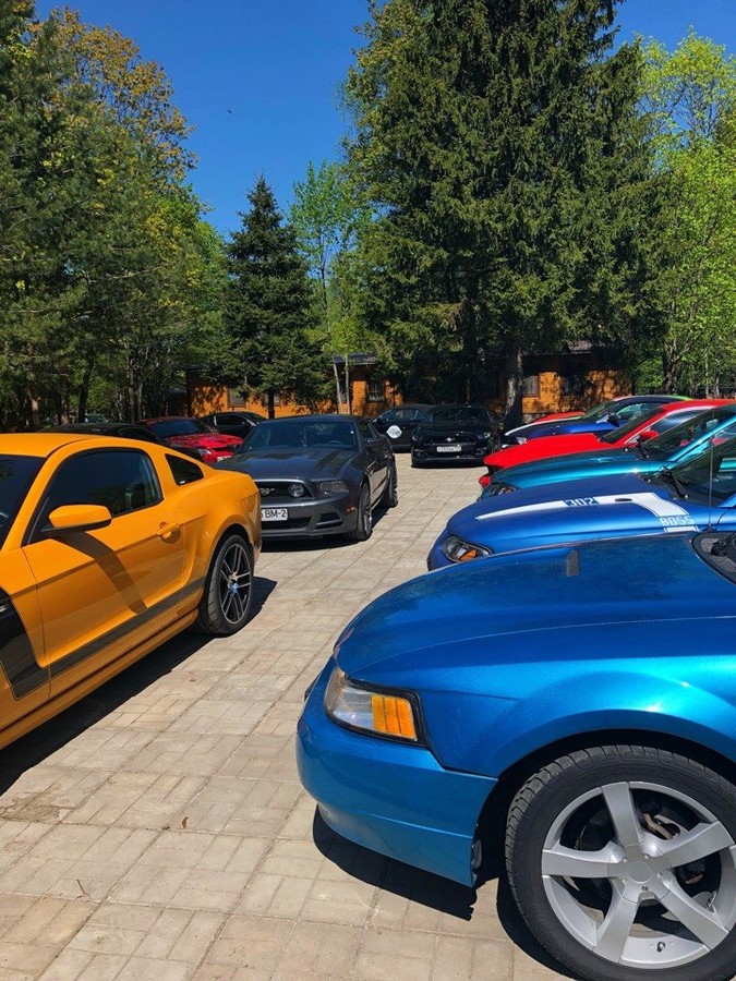 ���������� #2220454