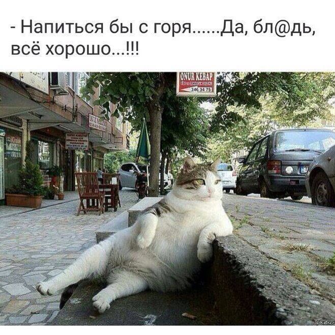 ���������� #2224486