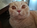 �����