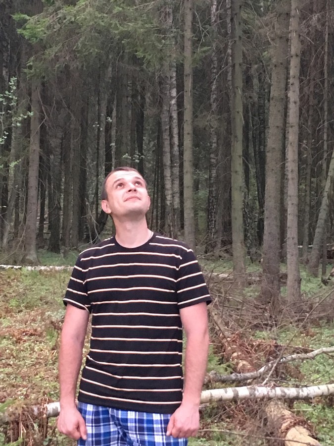 ���������� #2226226