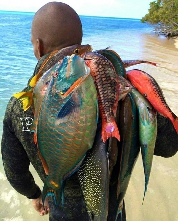 ������� � ���������