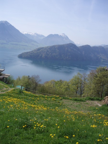 ���������� #2220772