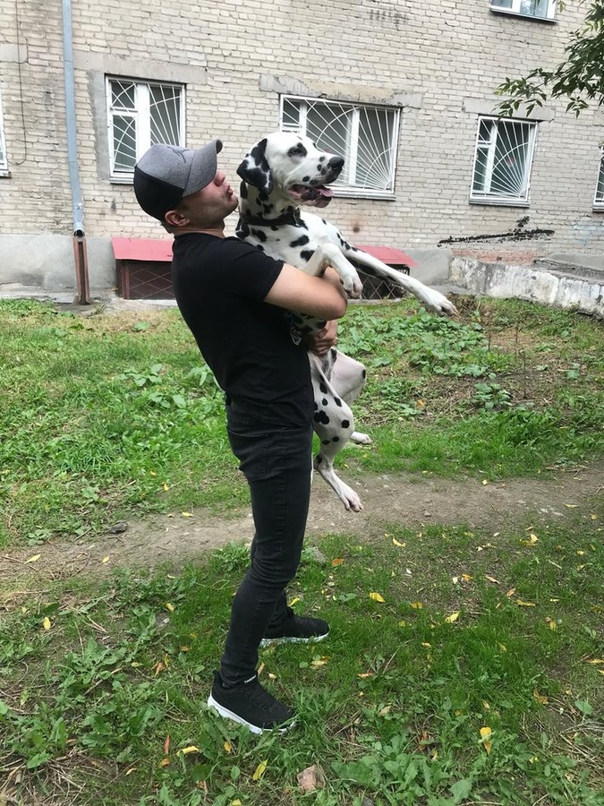 ���������� #2228236