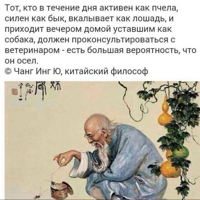 ���������� #2228551