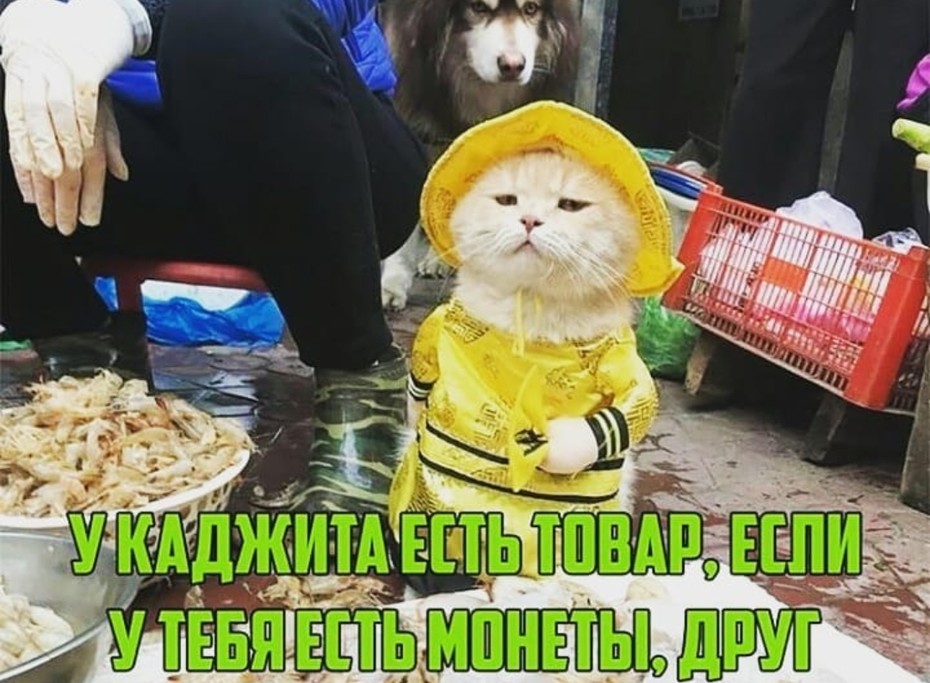 ���������� #2232811