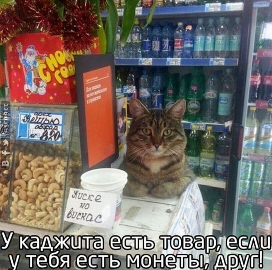 ���������� #2232812