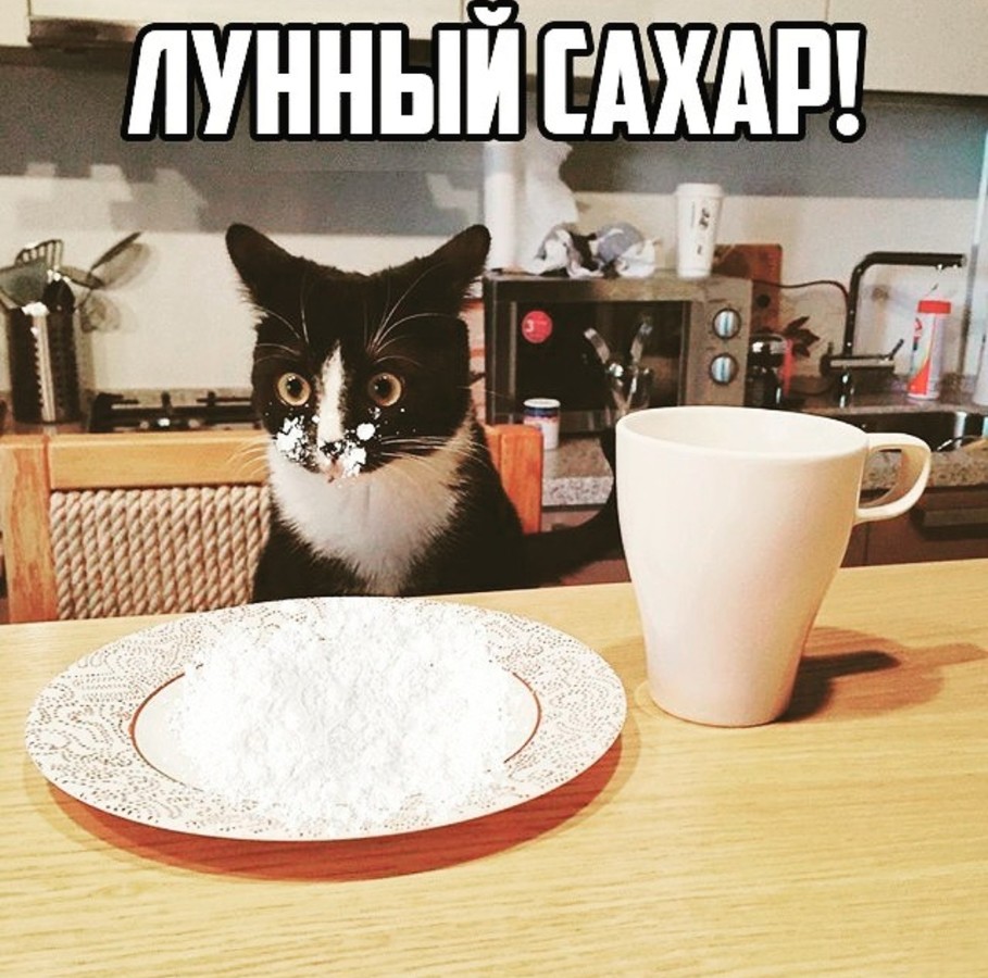 ���������� #2232815