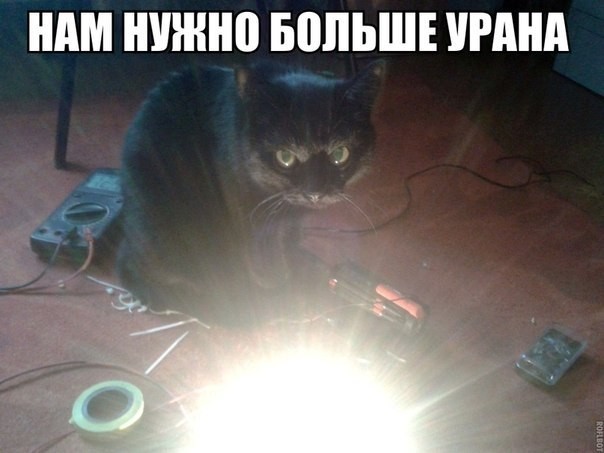 ���������� #2230447