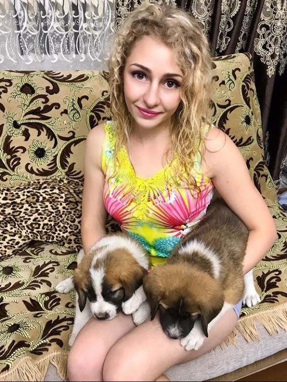���������� #2230634