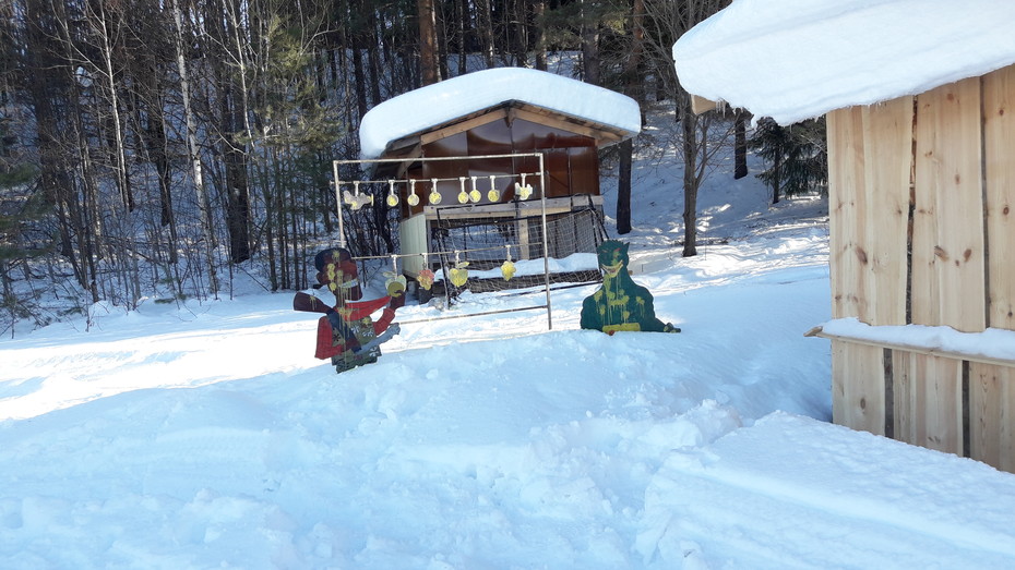 ���������� #2238835