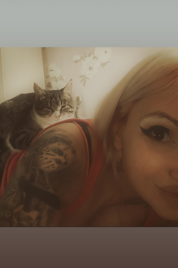 ���������� #2239611