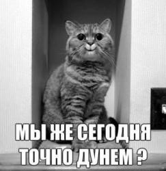 ���������� #2241844