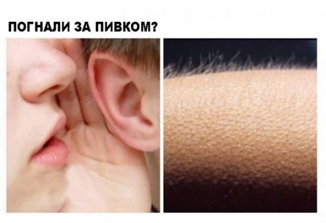 ���������� #2242255
