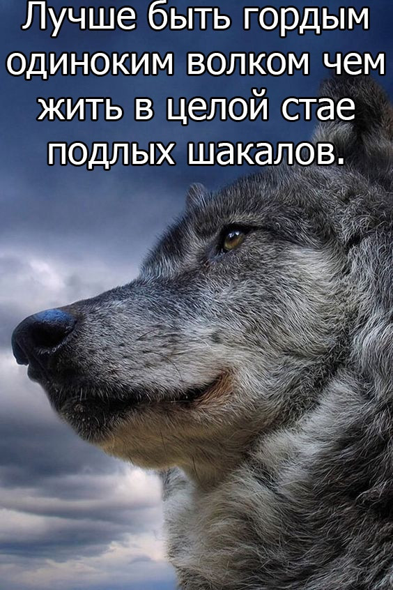 ���������� #2242407