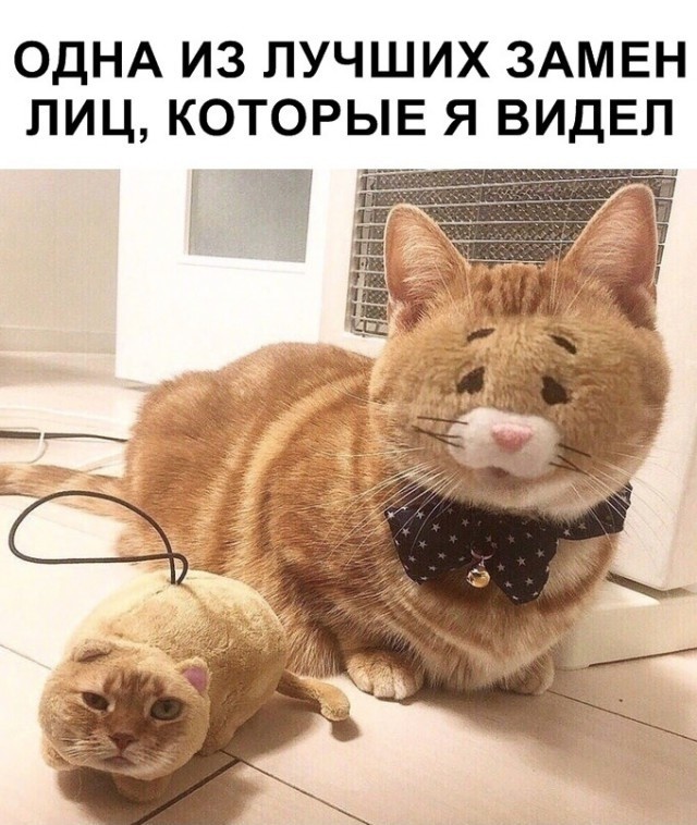���������� #2243813