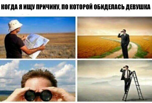 ���������� #2244435
