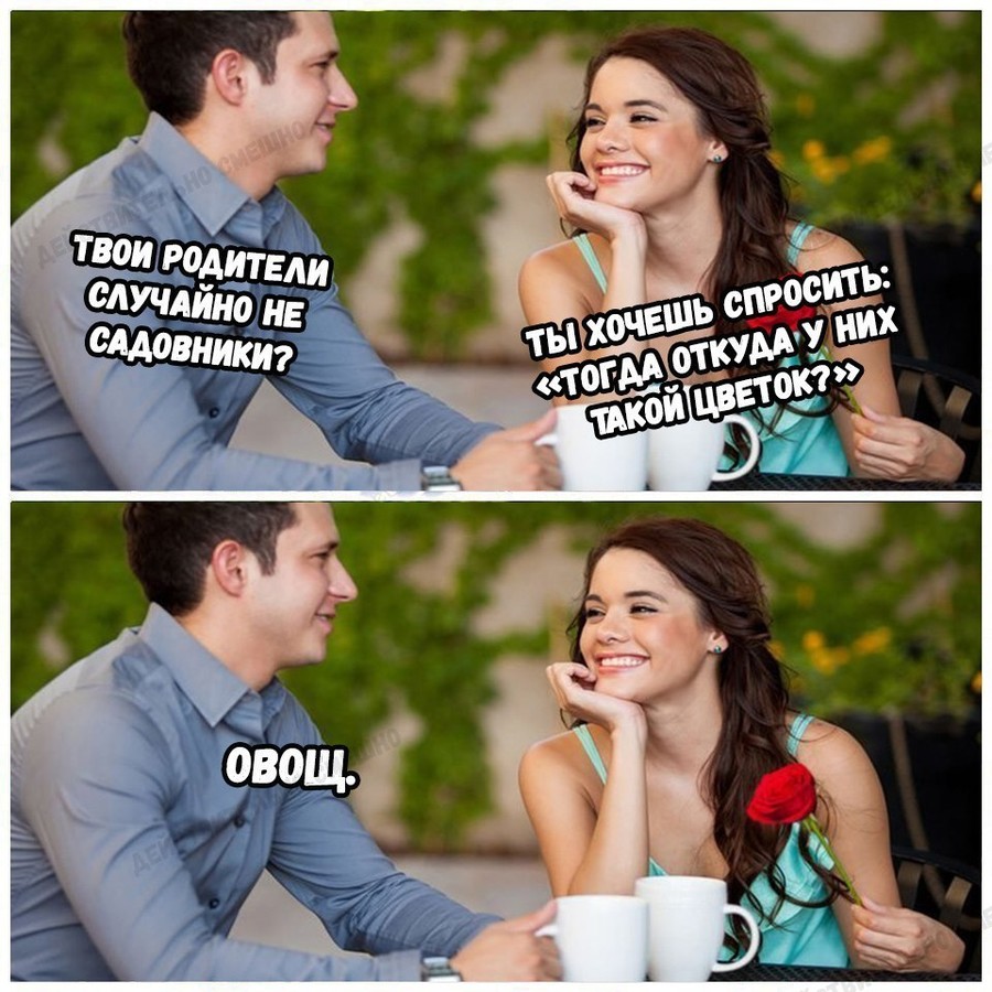 ���������� #2244632