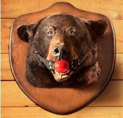 ���������� #2244921