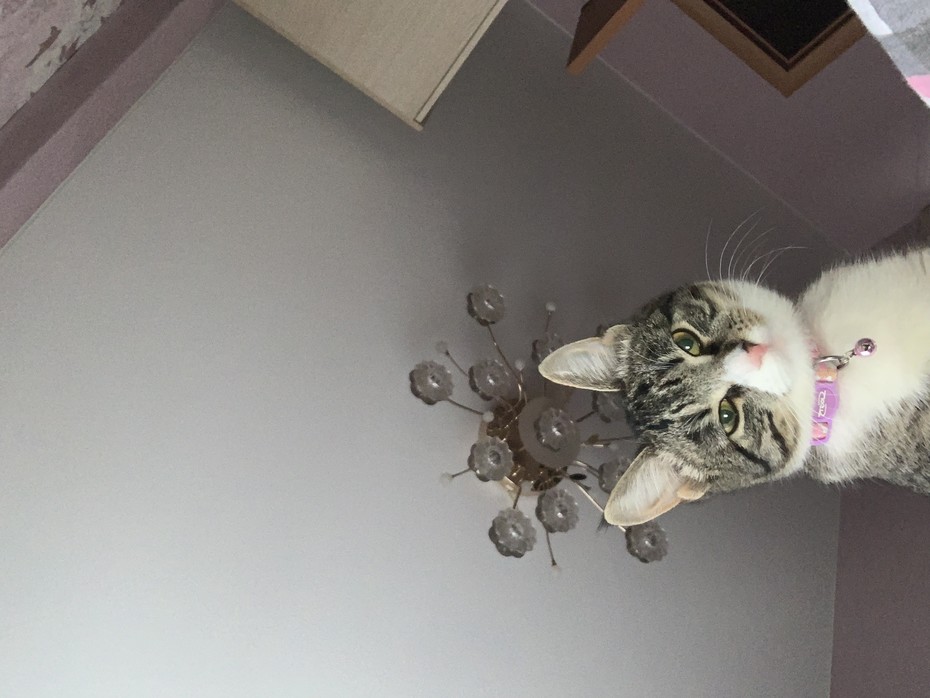 ������ ����