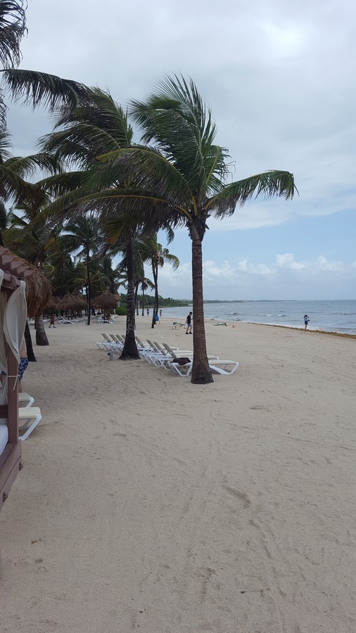 �������/ Dreams. Tulum