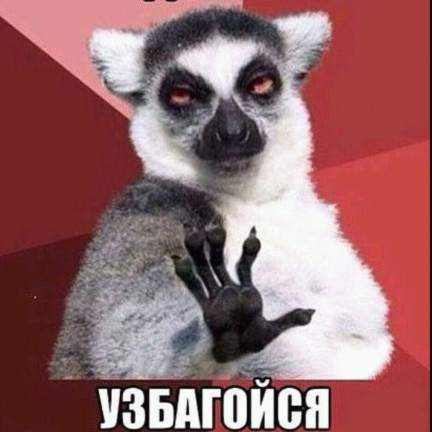 ���������� #2245724