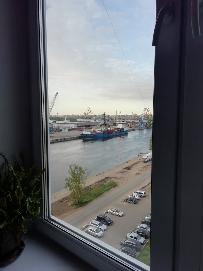 ���������� #2246034