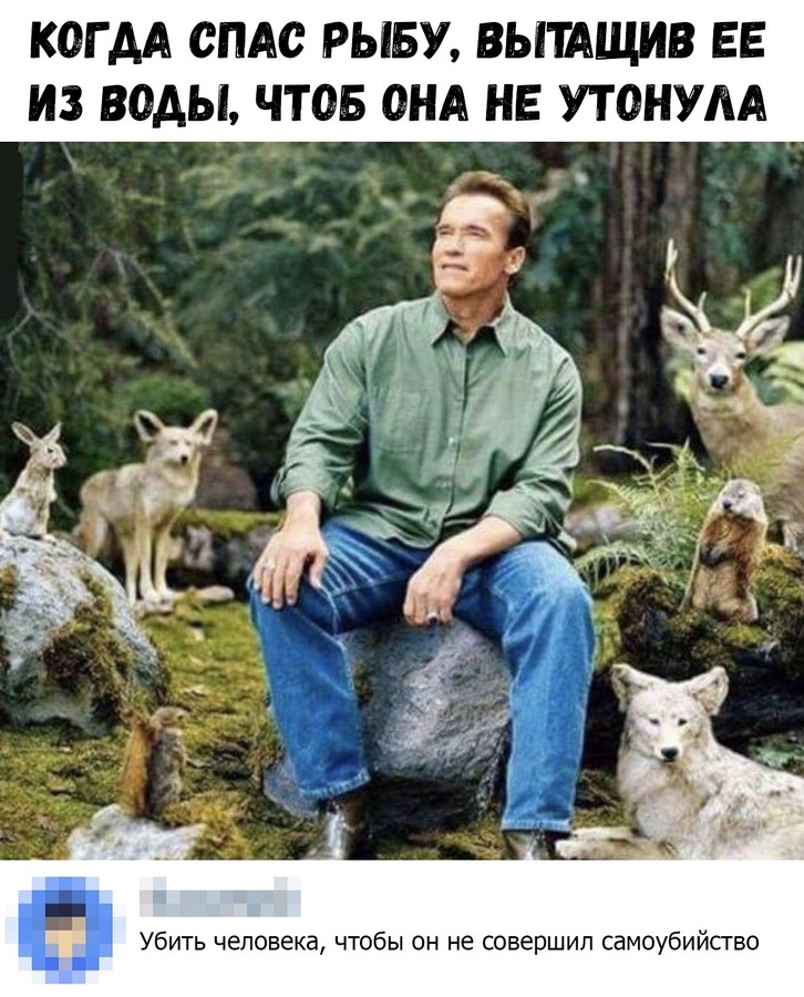 ���������� #2246373