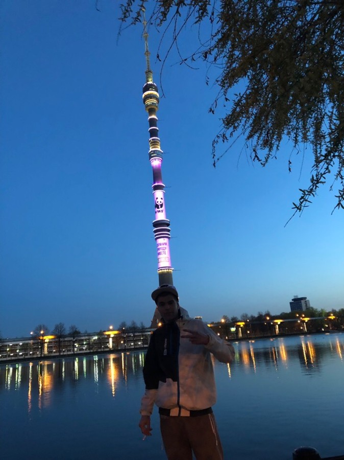 ���������� #2246395