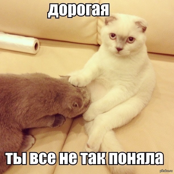 ���������� #2247063