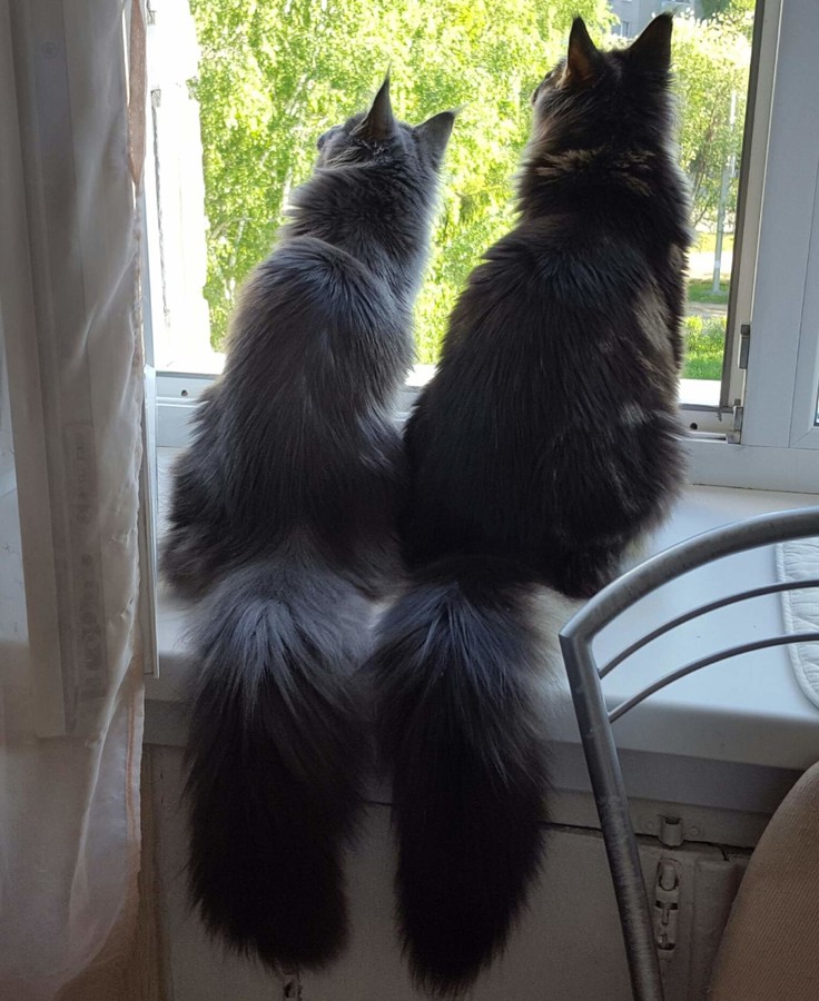 ���������� #2249503